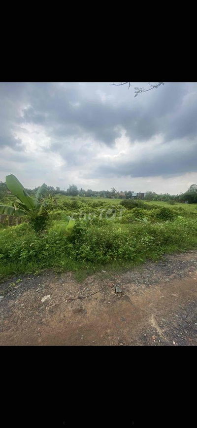 Cho Thuê Đất Trống 3.500m2 giá 3.5tr Thạnh Xuân 52 Q12