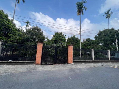 vườn măng cụt đẹp 1200m2
