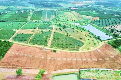 Bán 10x60,8 Lộc Tân Bảo Lâm gần các khu du lịch, cao tốc sổ thổ cư
