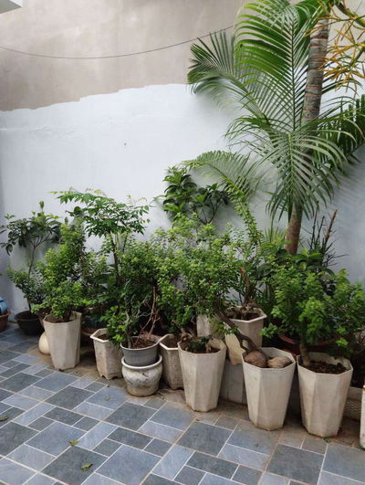 SIÊU Hiếm Phía Bên Gigamall Gần Sông, Giáp Ranh Bình Thạnh