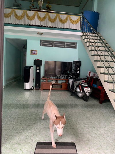 Bán Đất Tặng Nhà Cấp 4 Mt Đường Võ Như Hưng