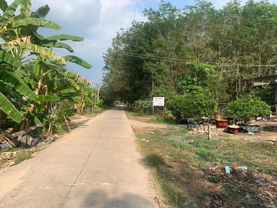 Đất cắt lỗ HXT kinh doanh ngay Vòng xoay Tân Châu 475m2 tc 680tr