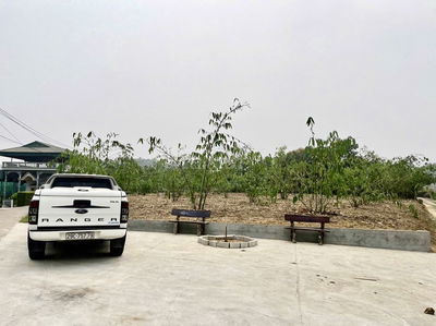Bán đất tỉnh Phú Thọ. 1315m2. Gia đình kẹt tiền, bán rẻ hơn thị trường