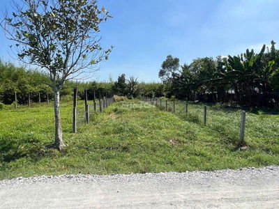 LÔ ĐẤT ĐẸP 264M2/430TR NGAY PHƯỚC HIỆP CỦ CHI FULL THỔ , SỔ HỒNG RIÊNG