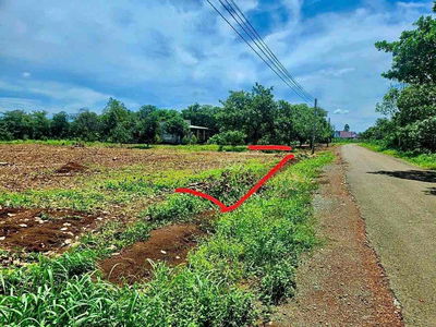 Tin được không chỉ 95tr sở hữu ngay lô đất giá rẻ