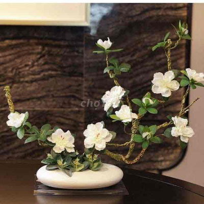 Cho thuê nhà phường Tân Sơn Nhì : 3 x 11 M đúc 1 trệt, lửng, 1 lầu