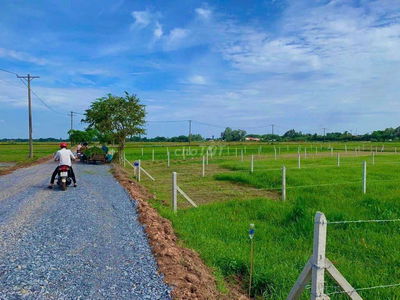 Đất vườn diện tích lớn, SHR ngay MT tỉnh lộ 7. Giá 800tr