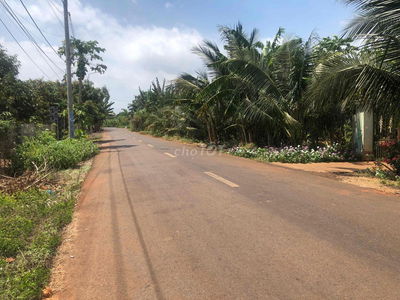 Lô đất đẹp ngang 12,9m mt đường bê tông nở hậu 19,4m dân cư đông