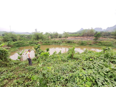 Đất Vườn Xã Thống Nhất, Lạc Thủy, Hòa Bình 11.334m²