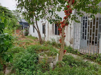 Nhà cấp 4 sân vườn , gần chợ tân hiệp , đường dương công khi