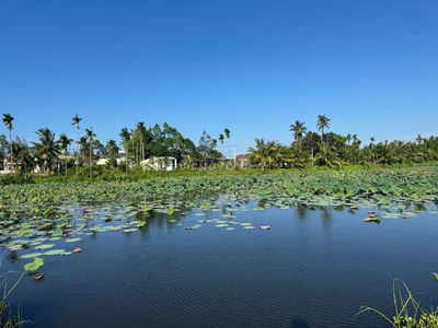 Cần tiền bán nhanh lô đất điện bàn đông- đà nẵng