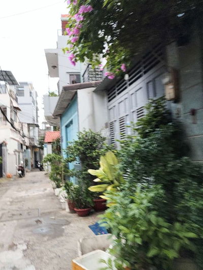 5 TẦNG- VUÔNG 3.4 x 19M- 9PN- HXH- THÍCH QUẢNG ĐỨC P5 PN- GIẢM 9,9 TỶ