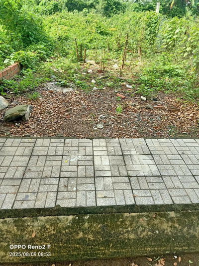 Bán đất sổ riêng thổ cư xã bình lợi