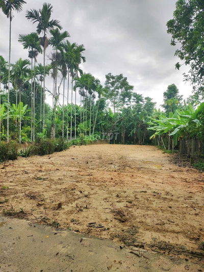 ĐẤT VƯỜN/NHÀ Ở VỊ TRÍ 2 MẶT TIỀN 330m2–THÔN DIÊU PHONG, BÀ NÀ, ĐÀ NẴNG