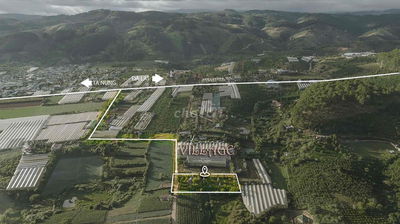 CẦN CHO THUÊ HOMESTAY TÀ NUNG ĐÀ LẠT