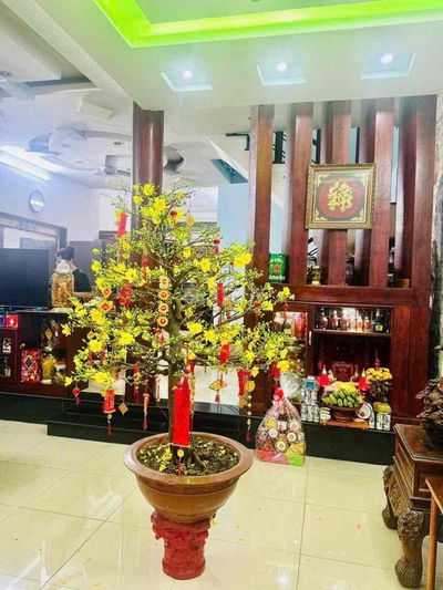 NHÀ NÀY KHÔNG MUA CÒN MUA NHÀ NÀO🏠🏠