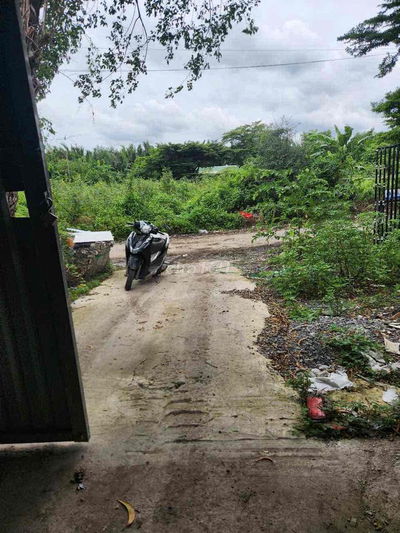 chính chủ cho thuê kho xưởng rẻ đẹp bưng ông thoàn quận 9