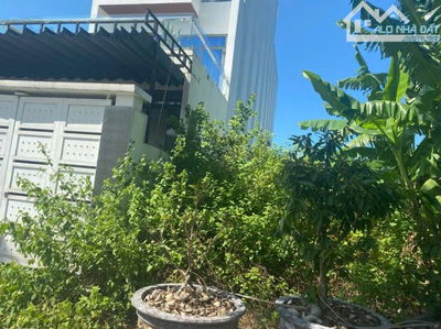💥💥CẦN BÁN GẤP LÔ ĐẤT PHAN HUỲNH ĐIỂU -DT 123M2- SÁT NGUYỄN PHƯỚC LAN - GIÁ CHỈ 6 tỷ