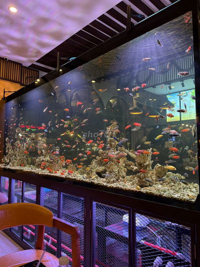 Đất mặt tiền 6m75 x 18 = 125m2 đường 5m5 song song đường tôn đản