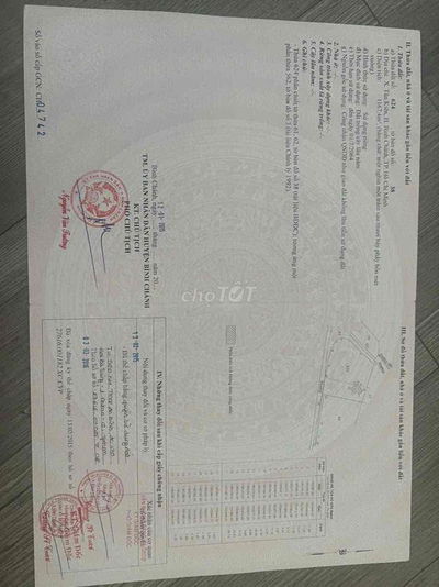 đất trồng cây lâu năm cần bán gấp