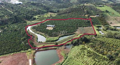 CẦN BÁN GẤP LÔ ĐẤT VIEW XỊN BẢO LỘC