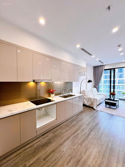 Siêu hot: Chính chủ bán 2PN - 2VS - 60m2, 4 tỷ 220, khu cao cấp Vinhomes Smart City, giá cực rẻ