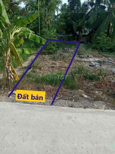 BÁN NỀN ĐẸP CÁCH CHỢ HOÁ THÀNH, BÌNH MINH, VĨNH LONG 100M - 333 TRIỆU
