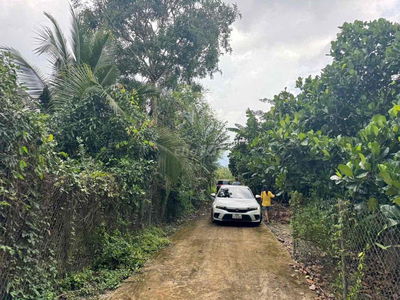 Bán cắt lỗ vườn cây ăn trái thích hợp làm fram nhà vườn nghĩ dưỡng