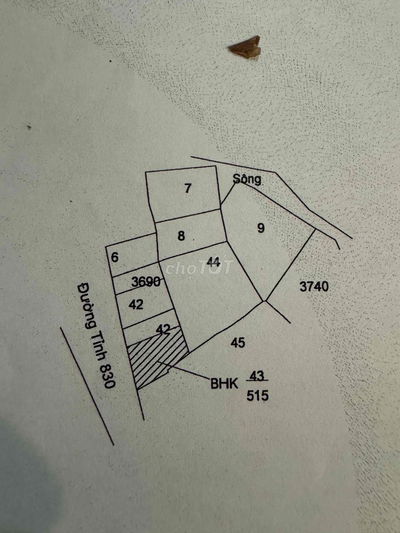 Kẹt tiền cần bán đất có nhà vườn đường 835C Cần Đước