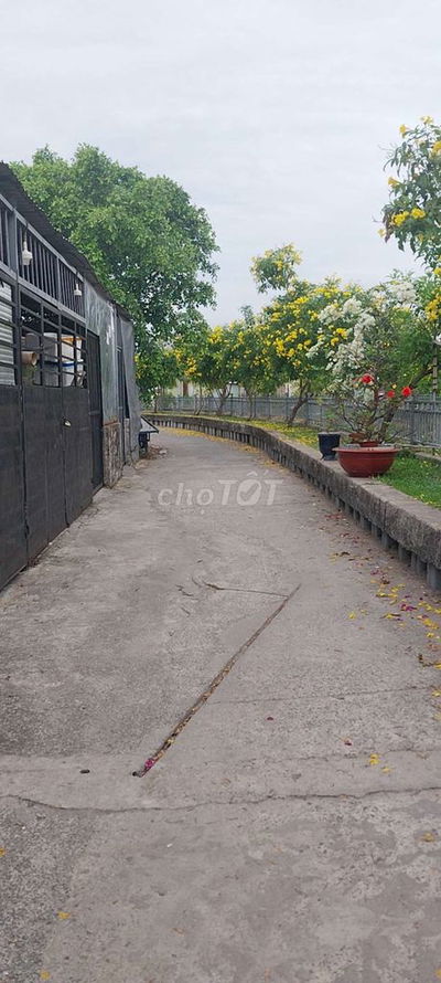 Cho thuê nhà nguyên căn có gác lửng kín
