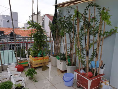 Phòng trọ kiểu cc mini Quận 4 mới