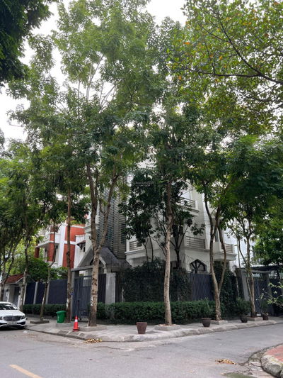Chính chủ cho thuê biệt thự 234m2 - KĐT Mỹ Đình 2 . Liên hệ 0904 520 ***