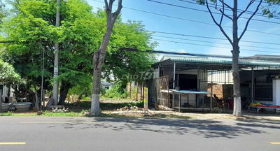Bán Đất MT QL55 xã Bông Trang gần chợ Bưng Riềng
