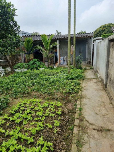 Đất thổ 360 KCN Vinh Quang Thanh Lương