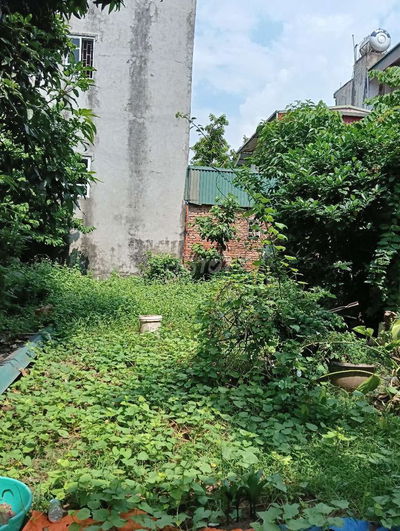 Chính chủ cần bán