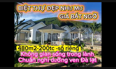 BIỆT THỰ VƯỜN 480M² – VIEW THÔNG XANH GIÁ BẤT NGỜ VEN ĐÀ LẠT