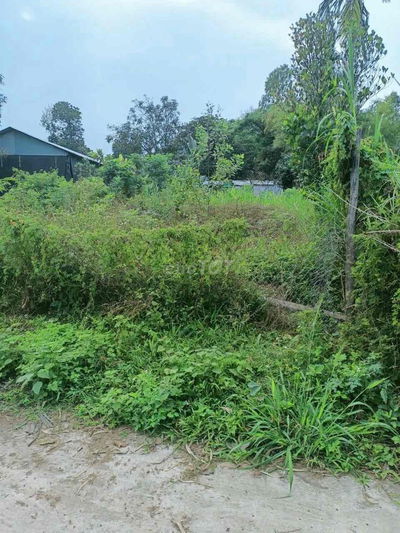 Cần Bán Gần 200 m vuông Đường 5 m Thông - khu Dân Cư Đông