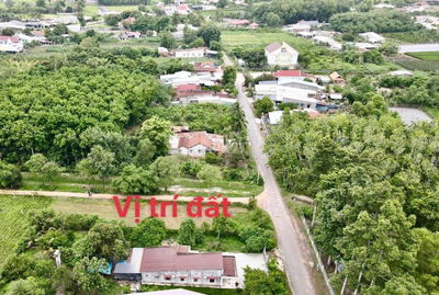 Cần bán lô đất 300m2 full thổ 550 triệu sát khu công nghiệp Trảng Bàng
