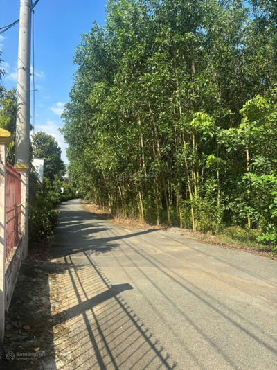 Bán đất 8.000 m²2 mặt tiền QL51 gần cổng chính Sân bay Long Thành, phù hợp kho bãi hoặc phân lô