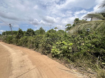 Bán đất vườn Long Tân, Long Đất 1000m2 có TC, ngang 17m  giá 1,5 tỷ