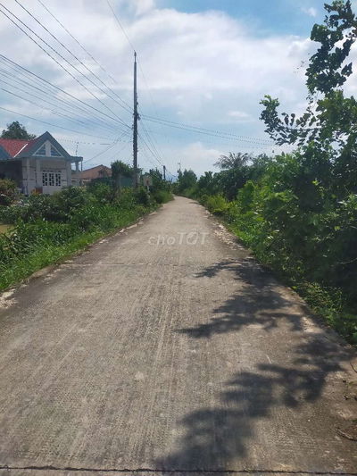 Bán 1084,6m2 đất lúa mặt tiền Đê Vàm Cỏ Tây, mặt tiền hơn 50m