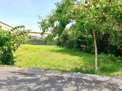 ĐẤT MẶT TIỀN LÊ THỊ VUI 203M2 GIÁ 510TR FULL THỔ CƯ SỔ HỒNG RIÊNG