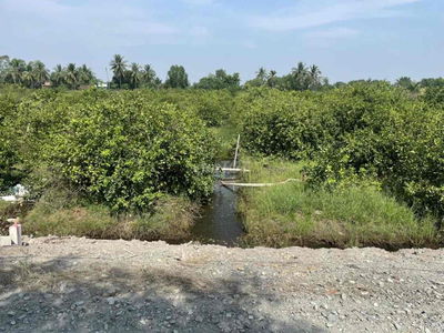 cần tiền trả ngân hàng bán gấp đất vườn 1000m2 long an chính chủ