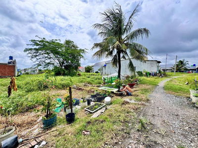 BÁN ĐẤT NGAY THI TRẤN ĐỨC HOÀ GIÁP TPHCM BÌNH CHÁNH