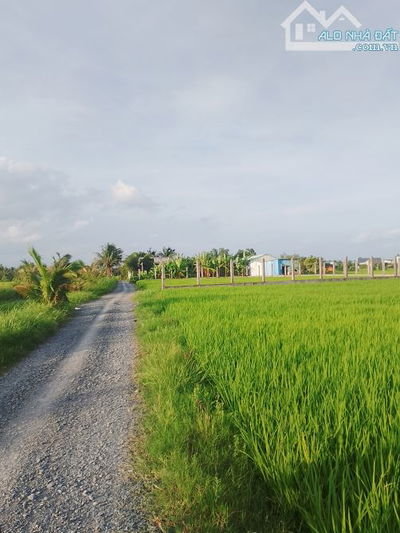 📢📢📢 Chủ Ngộp Cần Bán Đất Vườn 970m² Cách Mặt Tiền Đường Vài Bước Chân