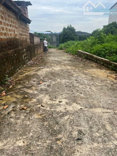 🌟 Bán nhanh mảnh đất 65m² tại thôn Hạ Bằng – Thạch Thất, Hà Nội