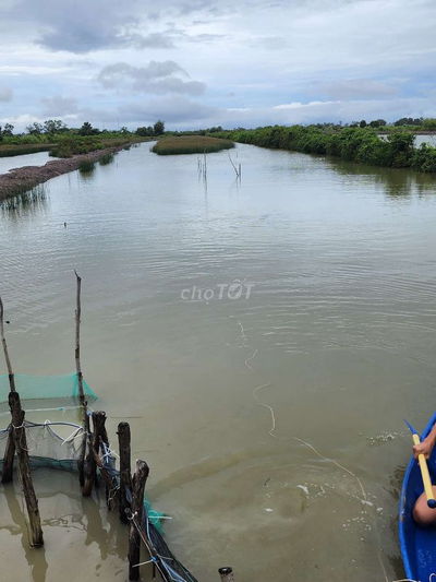 Đất vuông xã Đầm Dơi Cà Mau