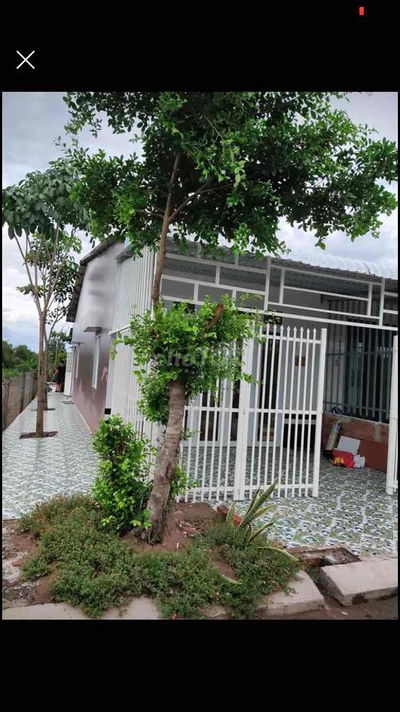 nhà cho thuê hoặc bán