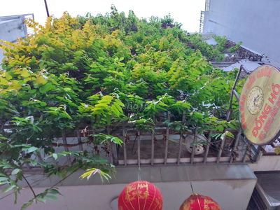 TRUNG TÂM GIA THUỴ - GẦN PHỐ - Ô TÔ VÀO NHÀ -