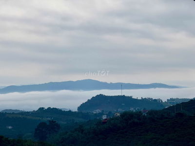 Bán lô đất mặt đường nhựa xã Nam Hà sẵn thổ cư giá 690 triệu